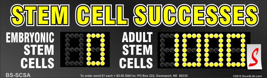 Stem Cell Successes 3.5x12 Bumper Sticker - Click Image to Close
